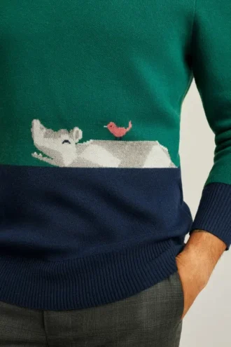 Jersey de cuello redondo Hippo Ferry