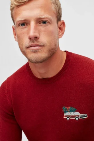 Jersey de cuello redondo Holiday Wagon